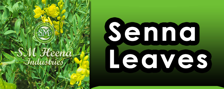 Senna-Leaves