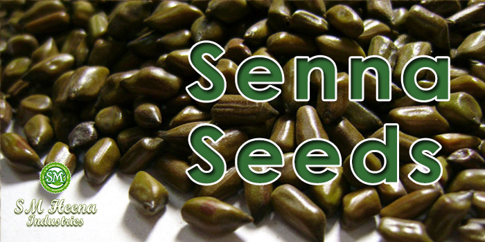 Senna-Seeds