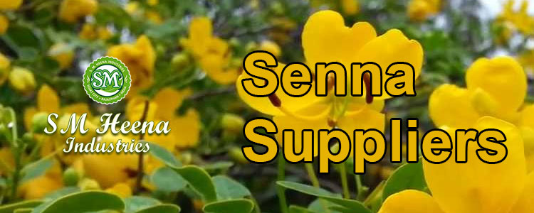 Senna-Suppliers