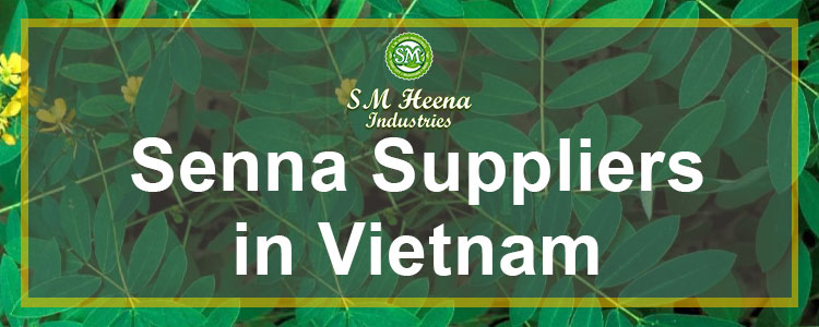 Senna-Supply-in-Vietnam