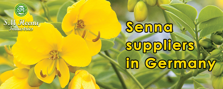 Senna-suppliers-in-Germany
